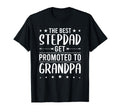 Best StepDADs Get Promoted To Grandpa stepdad T-Shirt